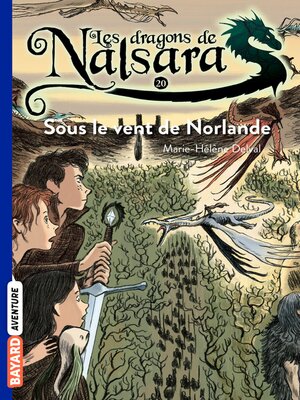 cover image of Les dragons de Nalsara, Tome 20